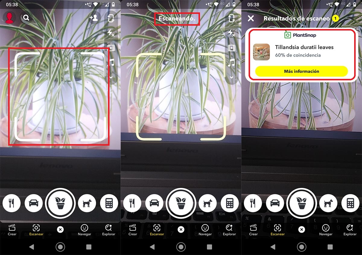 Identificar plantas con Snapchat