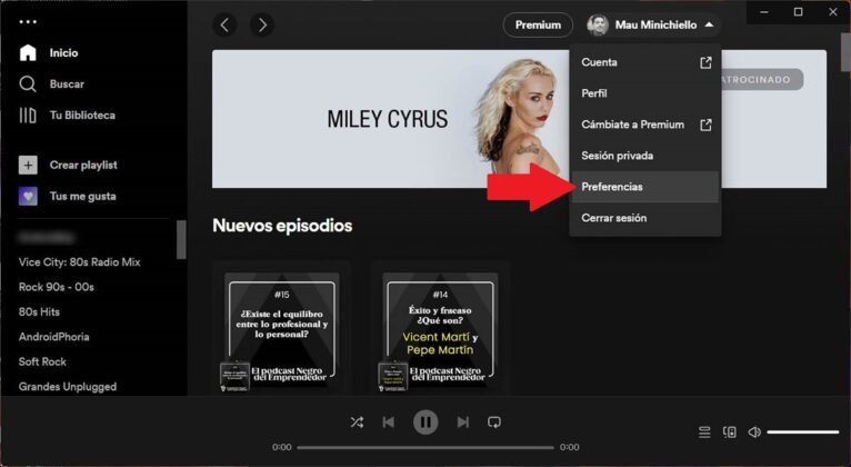 Ingresar en las preferencias de Spotify