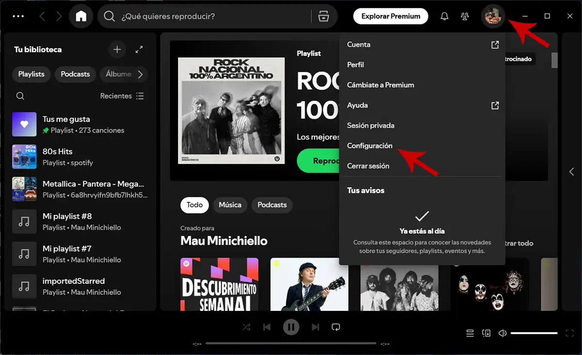 Ir a los ajustes de Spotify