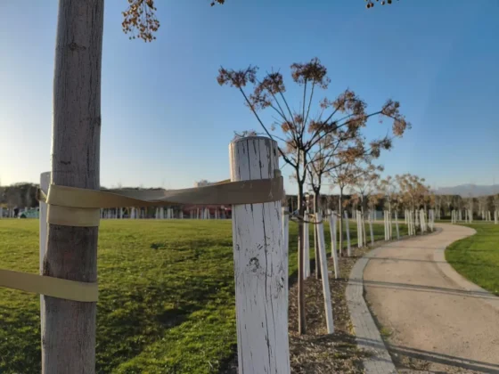 La camara principal tiene una buena profundidad de campo superficial ideal para retratos POCO X8 Pro