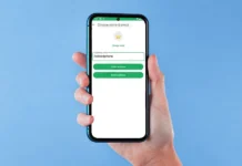 Listas personalizadas para estados de WhatsApp: nueva función