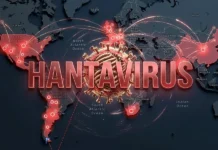 Mapa del Hantavirus 2026 las mejores apps para rastrear el brote