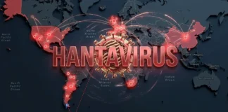 Mapa del Hantavirus 2026 las mejores apps para rastrear el brote