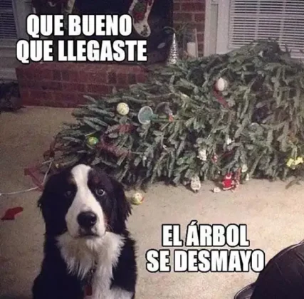 Meme arbol de Navidad 2025