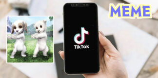 Meme de los perros bailando en TikTok que significa y cual es su origen