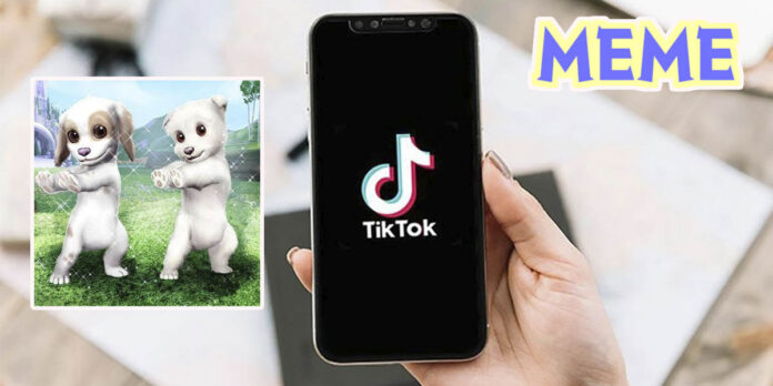 Meme de los perros bailando en TikTok que significa y cual es su origen