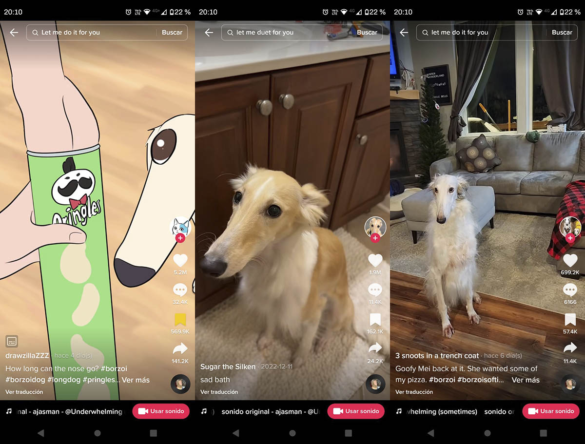 Meme del perro de nariz larga Borzoi TikTok