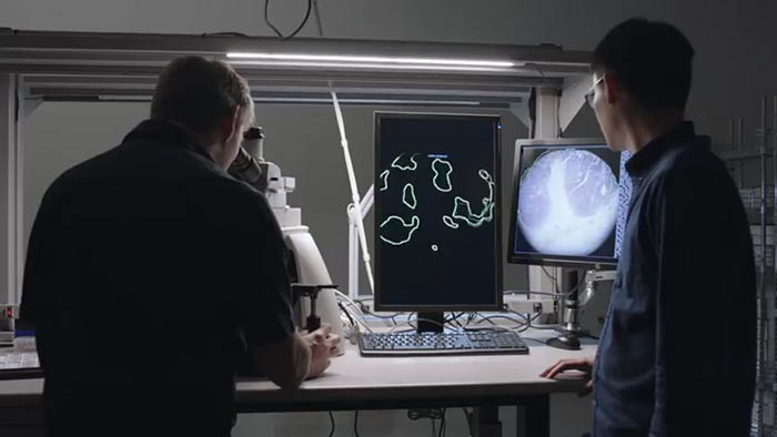 Microscopio de realidad aumentada de Google