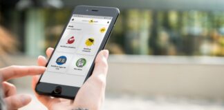 Mosquito Alert la app que te ayuda a combatir al mosquito tigre en España