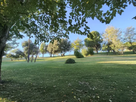 OPPO Reno14 FS foto con 0 zoom