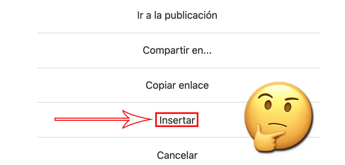 Opción Insertar Instagram todo lo que debes saber