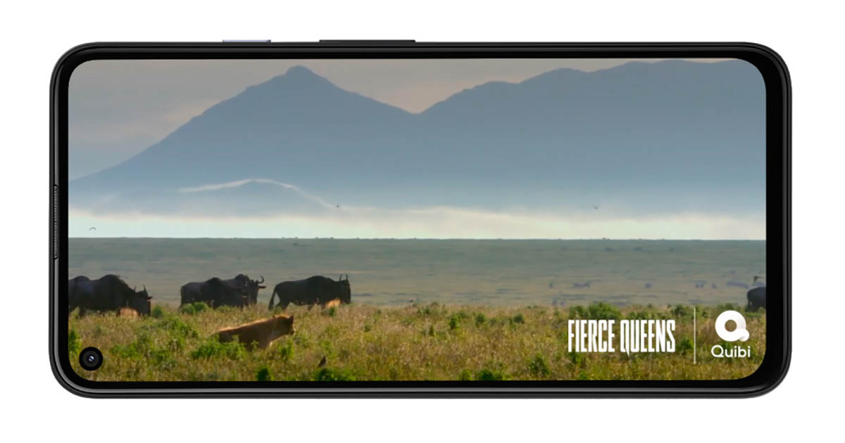 Pantalla Pixel 4a 5G