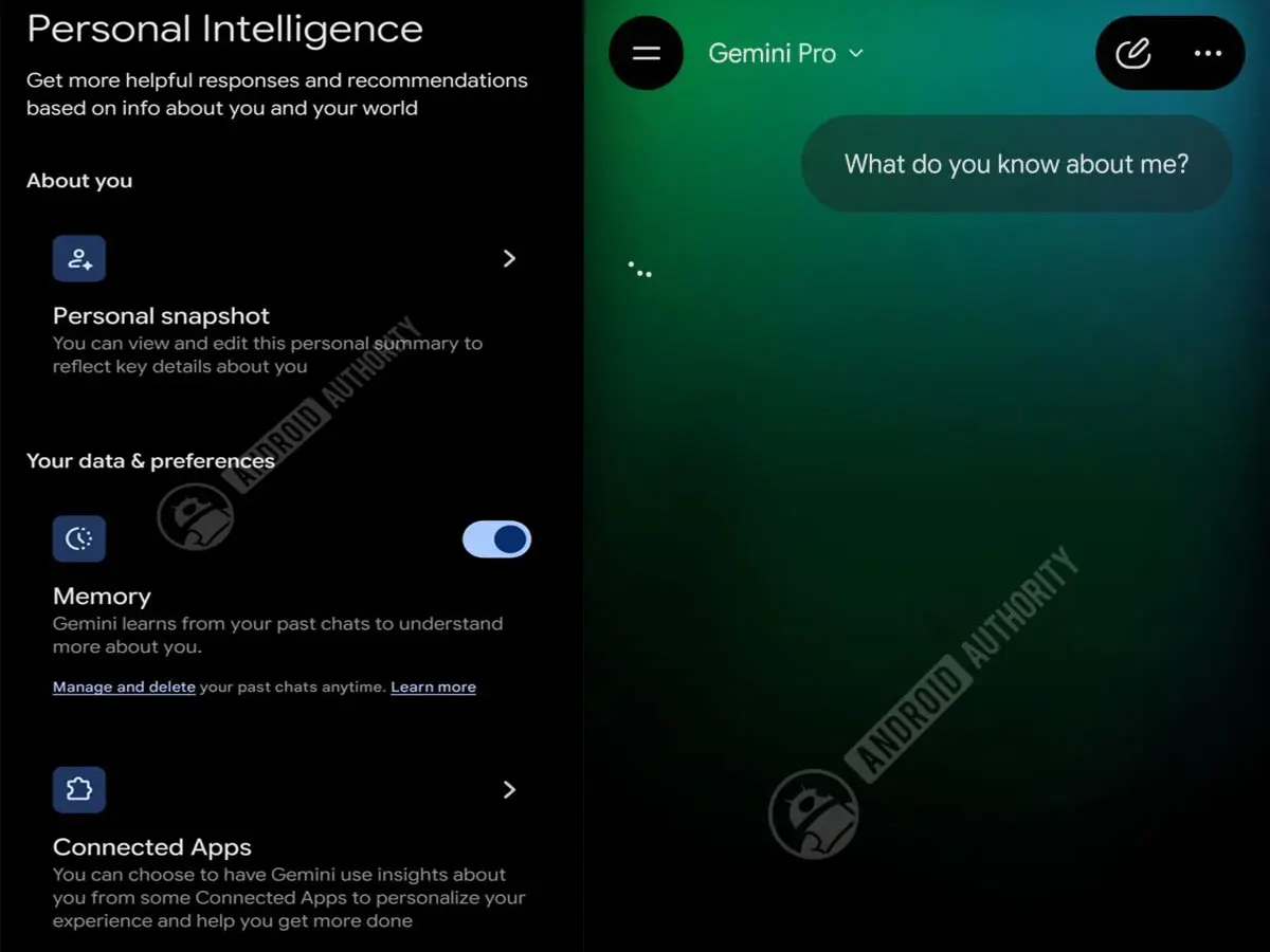 Personal snapshot en chat de gemini