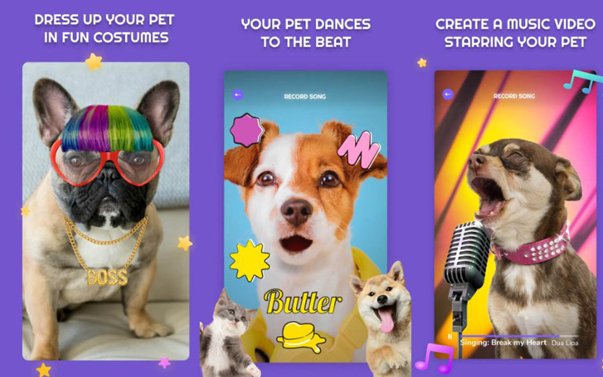 PetStar app
