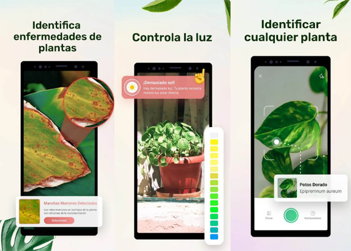 Plant Parent app