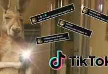 Qué es Team Canguro la foto de perfil viral en TikTok