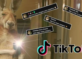 Qué es Team Canguro la foto de perfil viral en TikTok