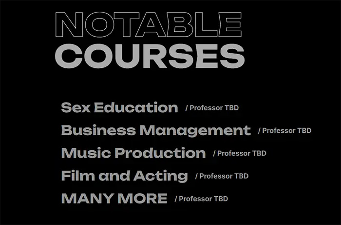 Que se aprende en la University Streamer