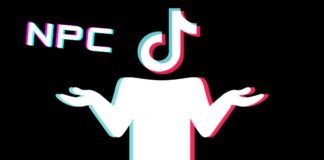 Que significa NPC en TikTok, WhatsApp y otras redes sociales