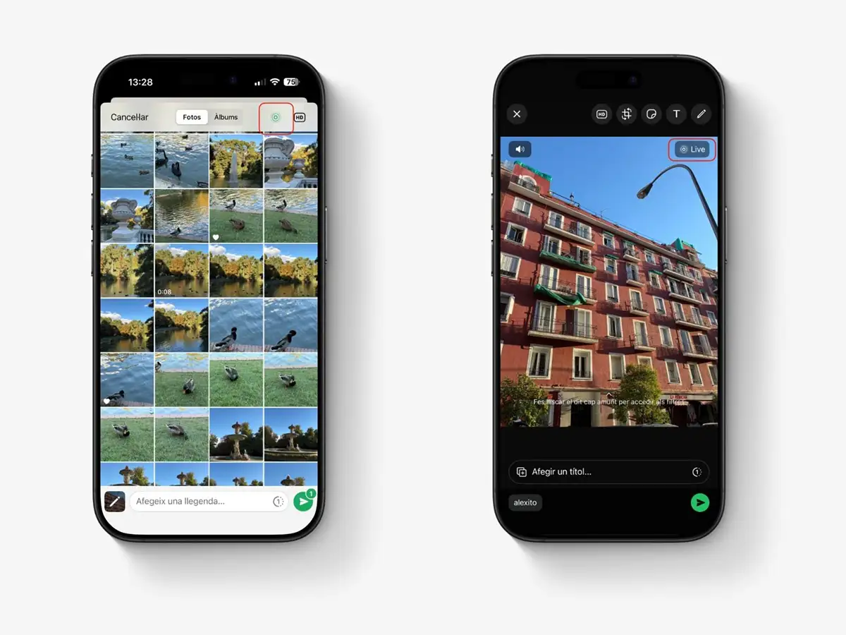 Qué son las fotos en movimiento y cómo funcionan en WhatsApp