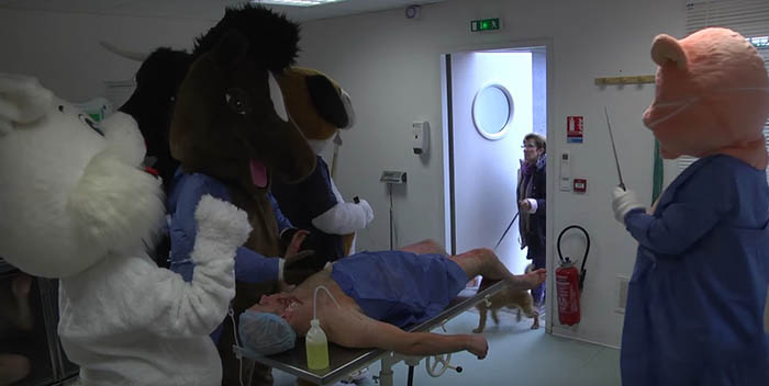 Remi Gaillard Maltrato animales