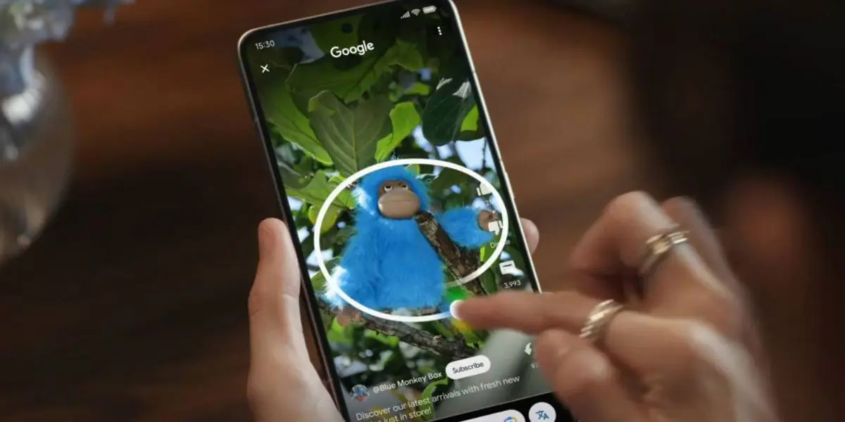 Esta alternativa a «Rodea para buscar» es de código abierto y no necesita Internet