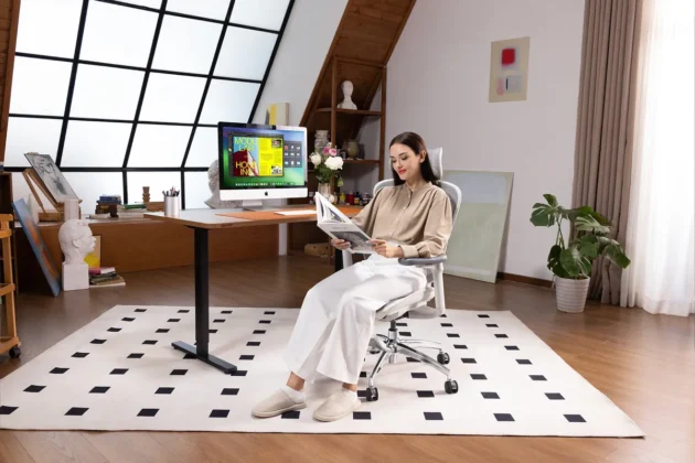 SIHOO Doro C300 silla 1