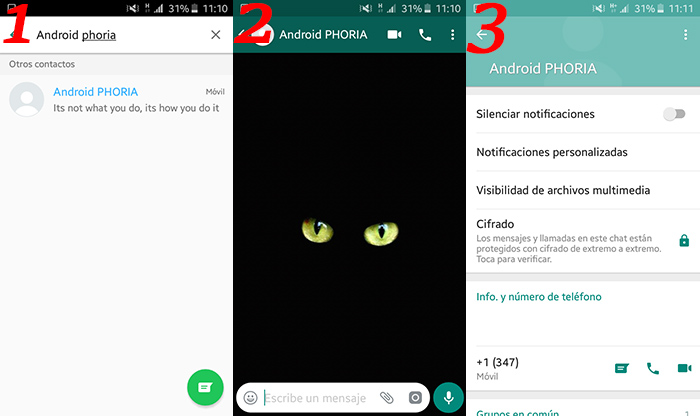 Saber si alguien me elimino de WhatsApp Metodo 2