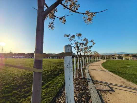 Si sostienes bien el movil puedes sortear los problemas de enfoque del gran angular y hacer buenas fotos con el POCO X8 Pro