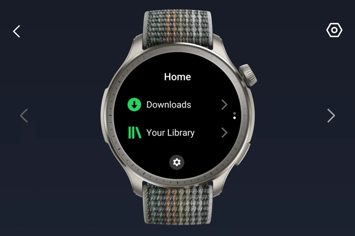 Spotifyer para amazfit
