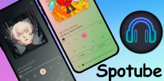 Spotube una app de Spotify de codigo abierto mas ligera y completa