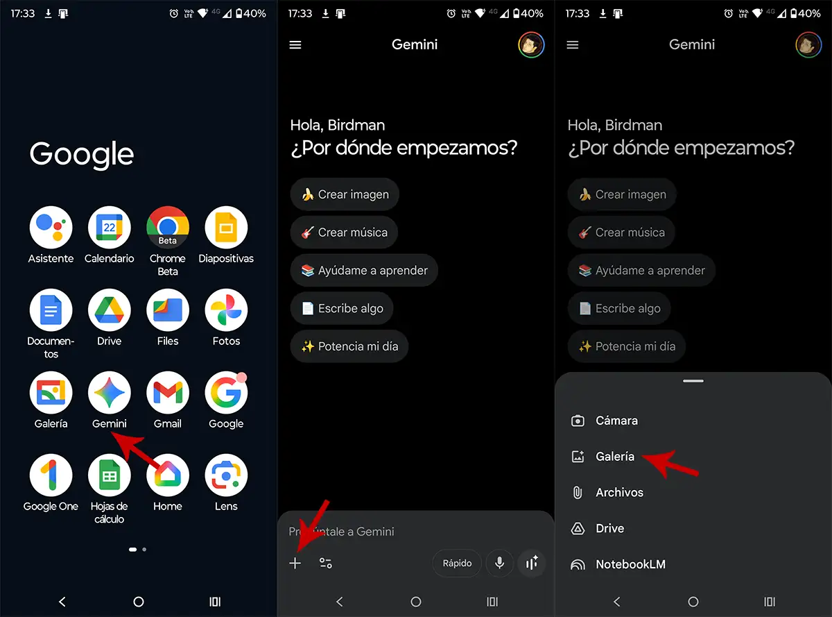 Subir fotos a Gemini