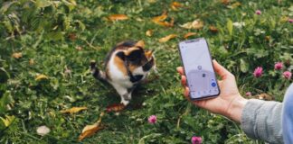 Tractive CAT Mini localizador gps para gatos