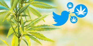 Twitter permite anuncios de cannabis