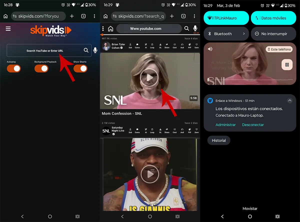 Usar la web Skipvids