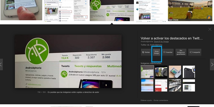 Ver imagen en Google imágenes