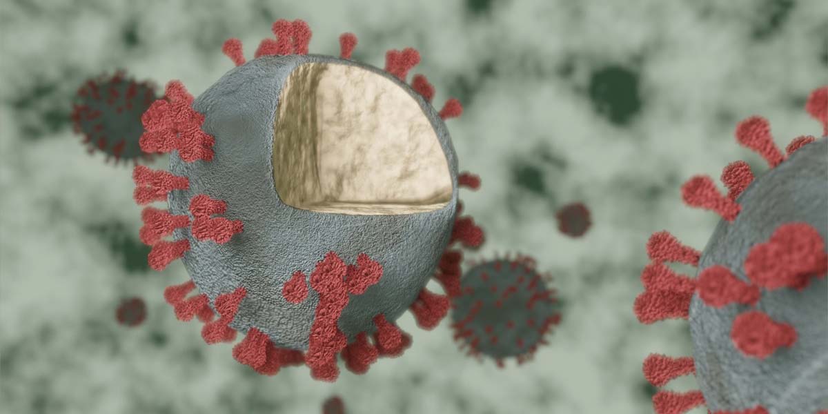 Virus COVID web QueCovid