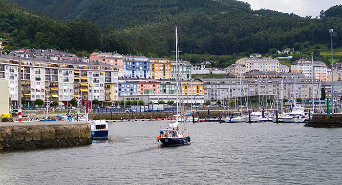 Viveiro cae agua movil
