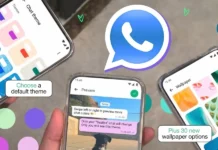 WhatsApp Plus se convierte en una version oficial de WhatsApp
