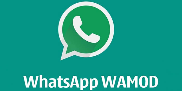 WhatsApp WAMOD