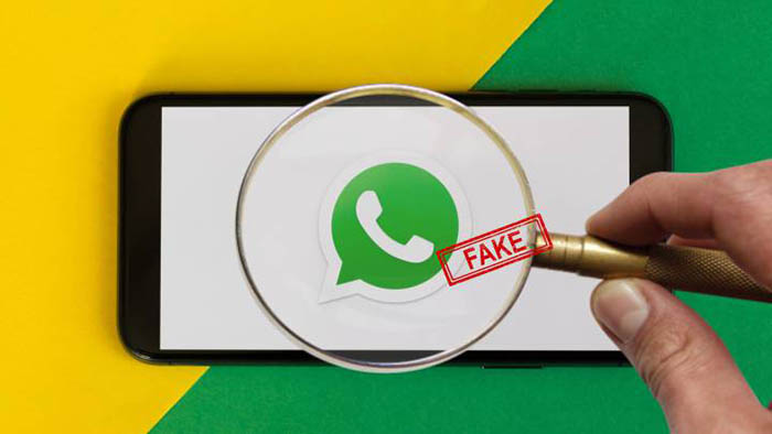 WhatsApp cambios reenvio mensajes
