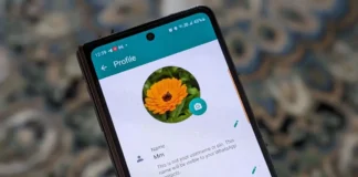 WhatsApp te permitirá poner una foto de portada en tu perfil