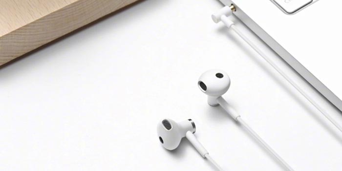Xiaomi Mi Dual Drivers Earphones