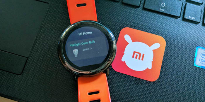 amazfit pace mi home