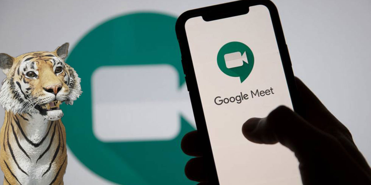 Poner cara animales en Google Meet