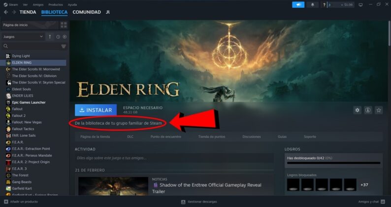 asi apareceran los juegos de tu grupo familiar de Steam