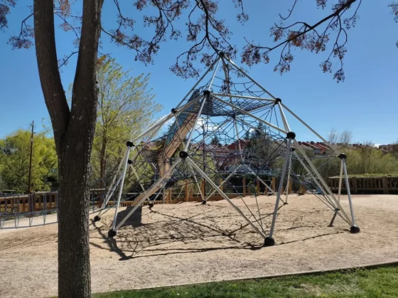 asi fotografia su camara principal Sony Light Fusion 600 POCO X8 Pro Max