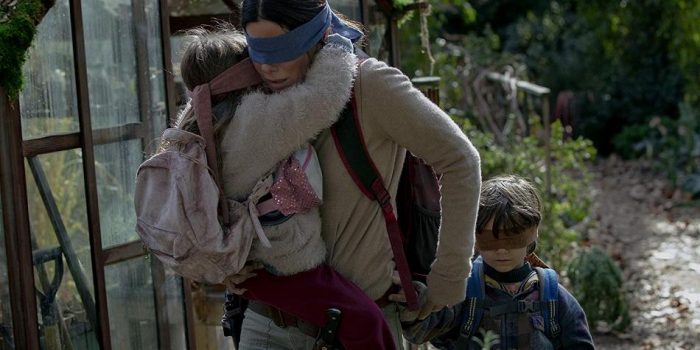 bird box bird box