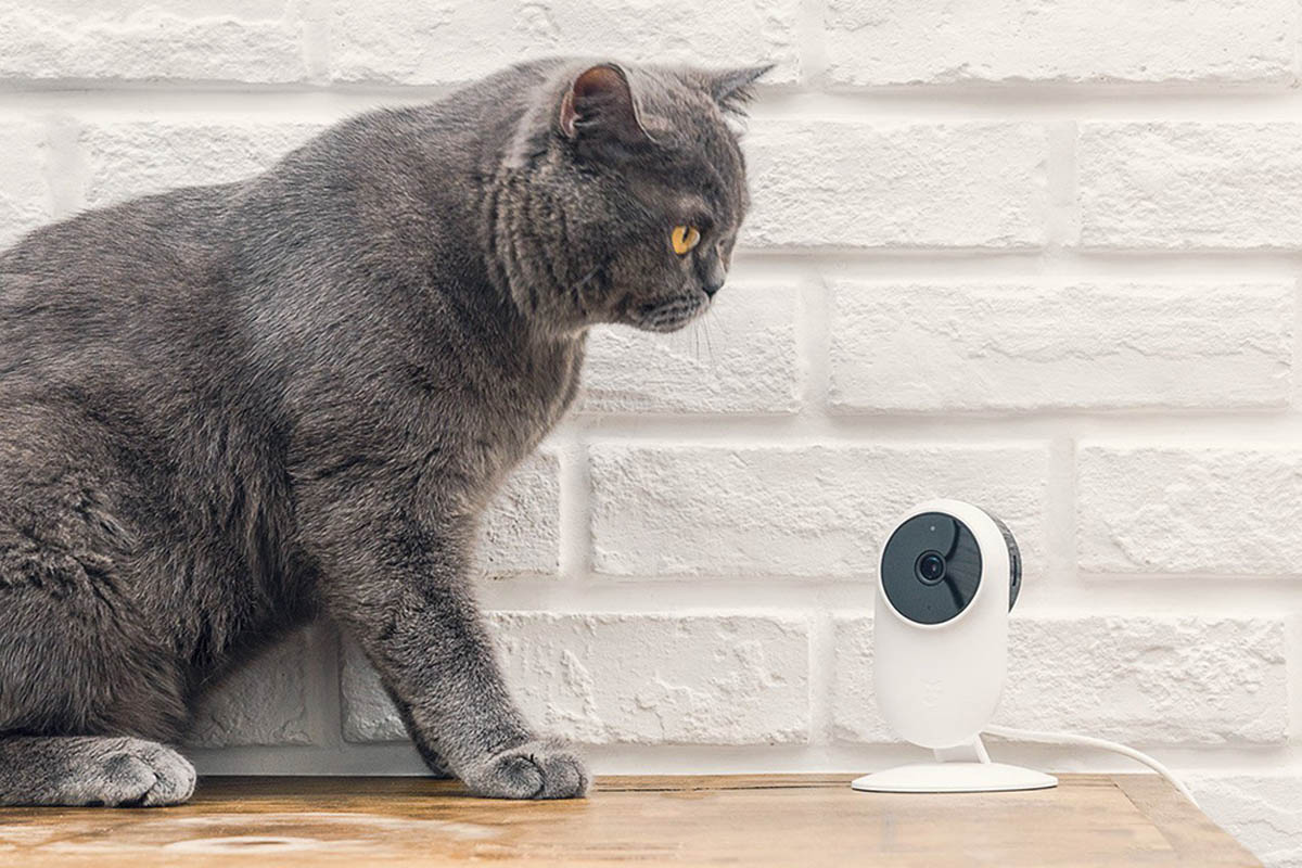 cámara ip xiaomi yi home 1080p