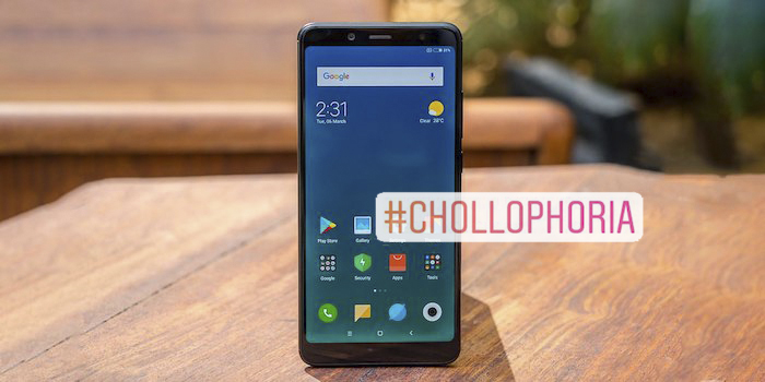 chollophoria semana 8